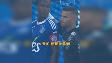 Bóng đã Net